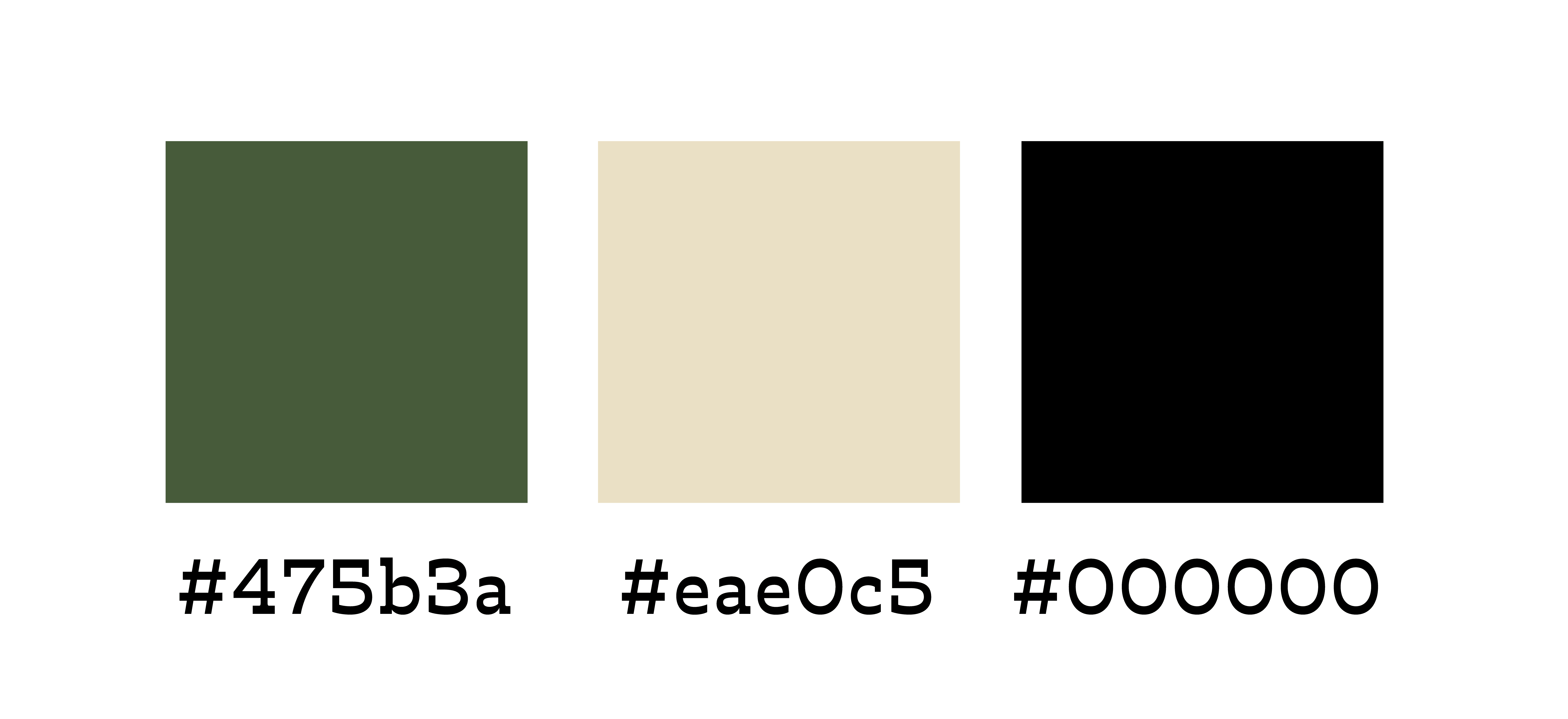 FernFolk_Logo-Final_Tekengebied 1 kopie 21.png
